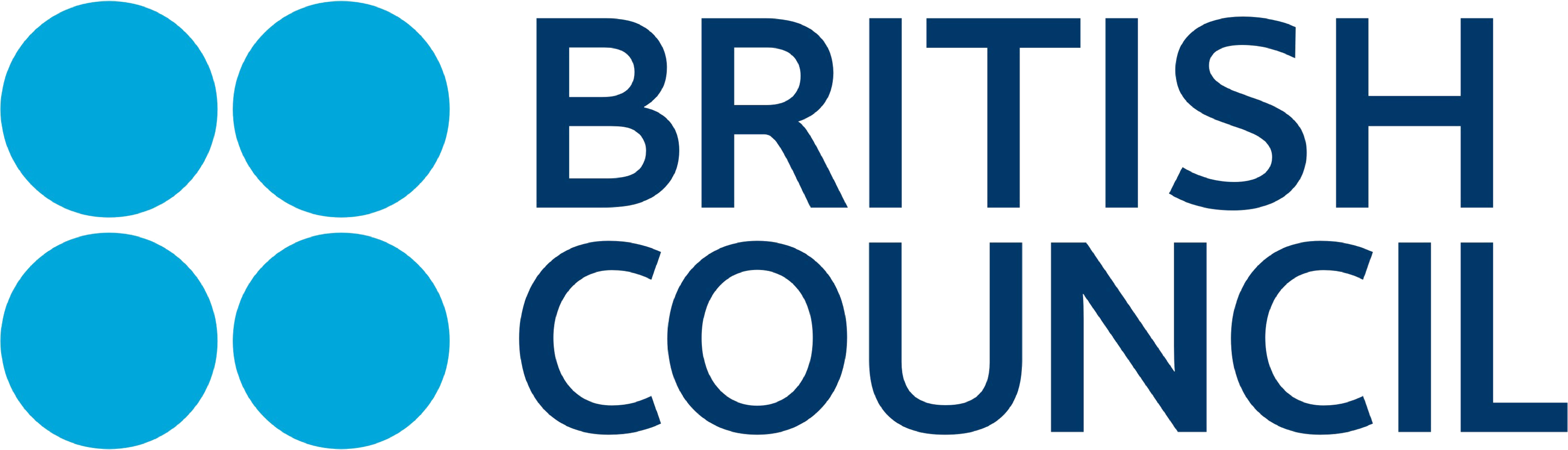 British Council Partner